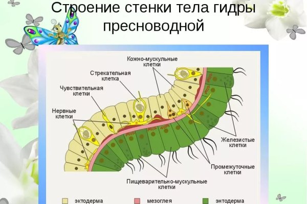 Клир ссылка на кракен 2025