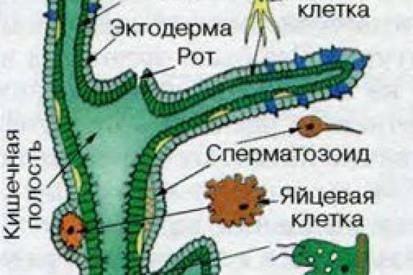 Кракен маркетплейс в россии