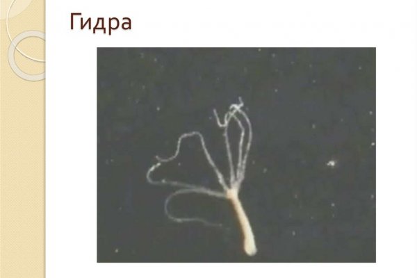 Кракен не работает сайт