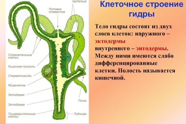 Сайт кракен зайти