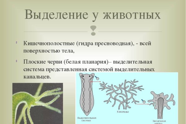 Кракен ссылка gigageek ru