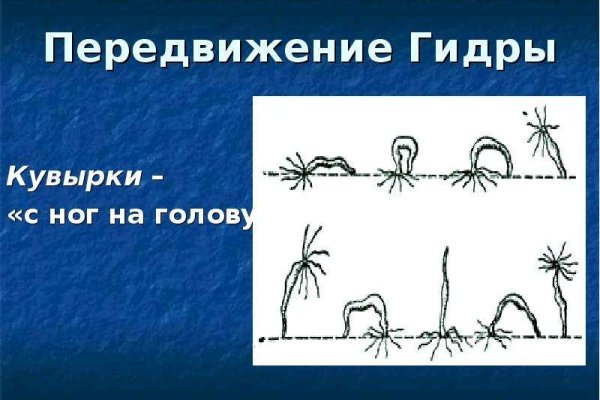 Кракен даркнет только через