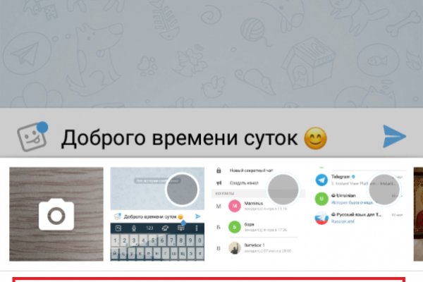 Kraken рабочее зеркало onion