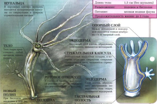 Кракен тор kr2web in