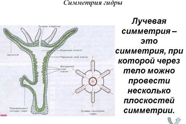 Мега кракен блэк спрут